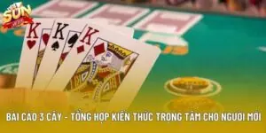 Bài Cào 3 Cây - Tổng Hợp Kiến Thức Trọng Tâm Cho Người Mới