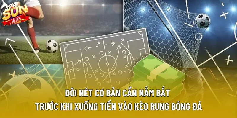 Đôi nét cơ bản cần nắm bắt trước khi xuống tiền vào kèo rung bóng đá