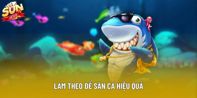 Làm theo để săn cá hiệu quả