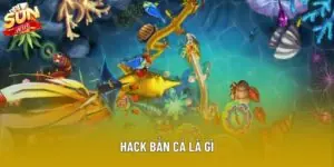 Hack Bắn Cá Là Gì Và Cách Áp Dụng An Toàn Năm 2025
