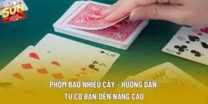 Phỏm Bao Nhiêu Cây - Hướng Dẫn Từ Cơ Bản Đến Nâng Cao